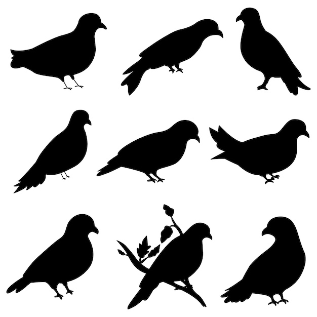 Pigeon Silhouette Isolated Vector