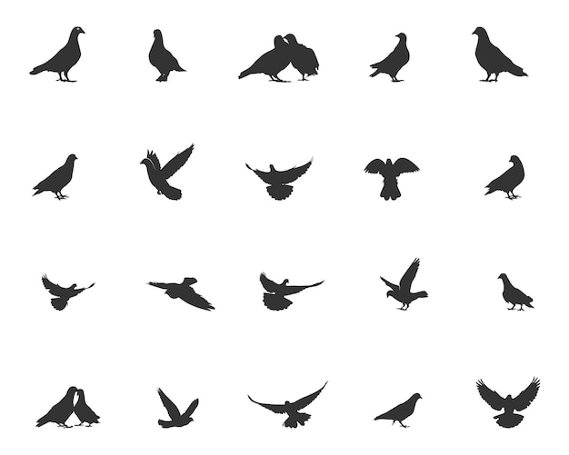 Pigeon silhouette Pigeon vector illustration Pigeon bird silhouette