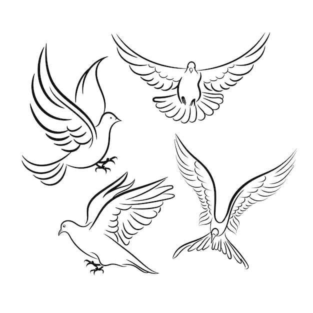 비둘기 스케치 및 기호 모음