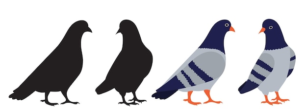 pigeons on a white background isolated vector