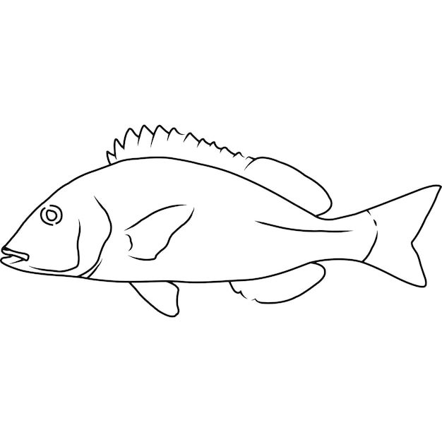 Pigfish mano abbozzato clipart vettoriali disegnati a mano