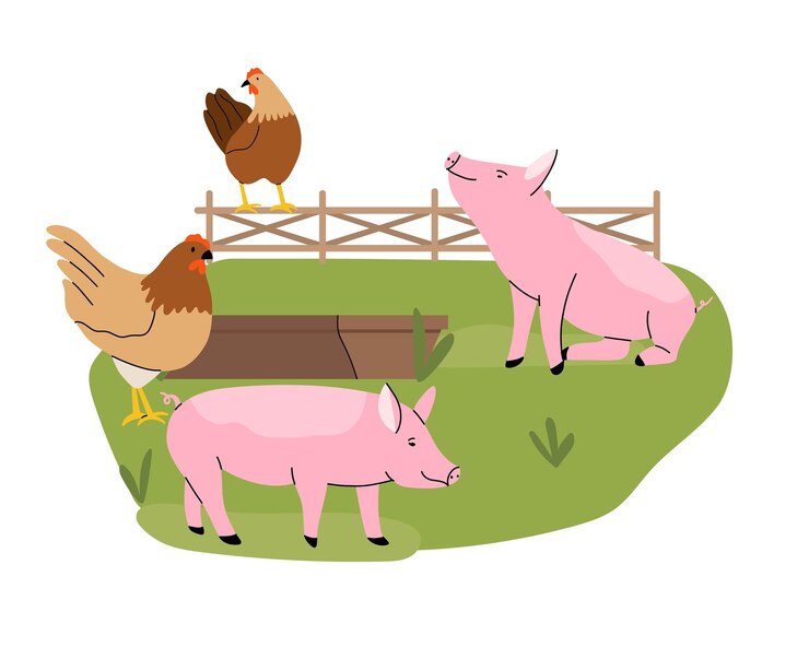 Vector pigs and hens feeding pig and hen eating from trough hand drawn funny contemporary drawing farm animals rural landscape bird and mammal green grass cartoon flat isolated vector illustration