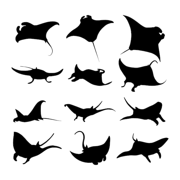 pijlstaartrog of manta ray silhouet set collectie geïsoleerd zwart op witte achtergrond illustratie