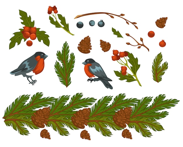 Vector pijnboomtakken met groenblijvende naalden en kegels, goudvinken, vogels en maretak. kerstviering, traditionele symbolen van kerstmis en wintervakantie. vogeltje en takje. vector in vlakke stijl