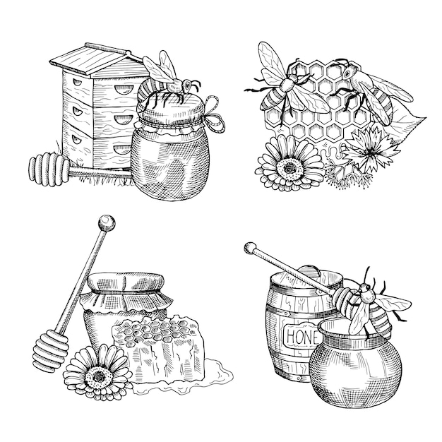 Vector piles of hand drawn honey elements set.  of honey drawing and bee insect