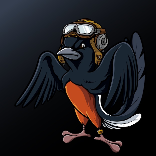 Pilot Black Bird Helm