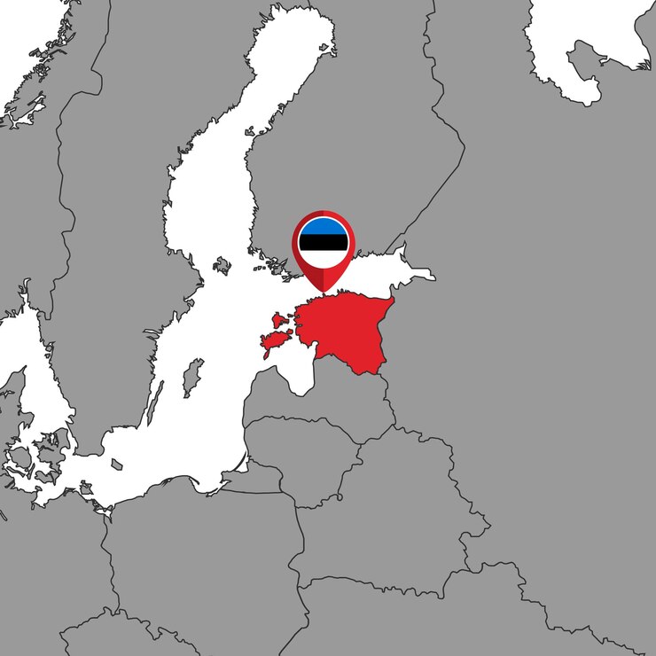 वेक्टर pin map with estonia flag on world map vector illustration