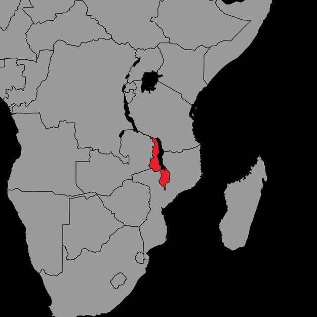 세계 지도 벡터 일러스트 레이 션에 말라위 플래그로 핀 지도
