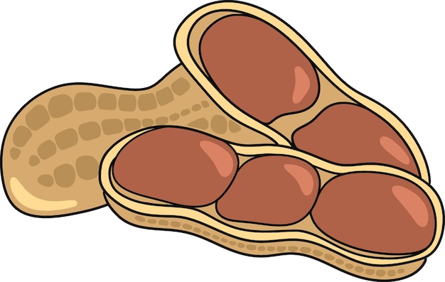 Vector pinda's illustratie. pinda's cartoon-stijl. plat fruitconcept