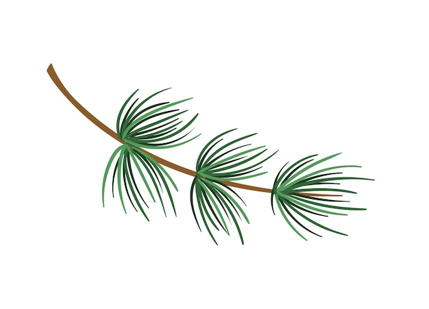 Pine branch concept deel van kerstboom bos en wild flora natuur en ecosysteem winter