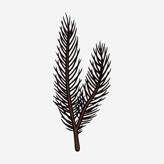 pine branch leaf