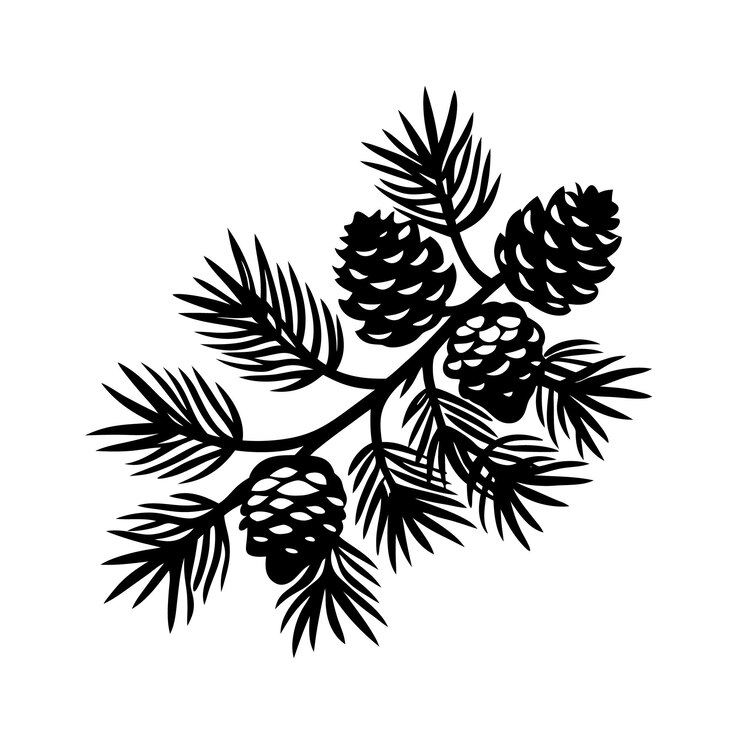 Vector pine branch with cones silhouette