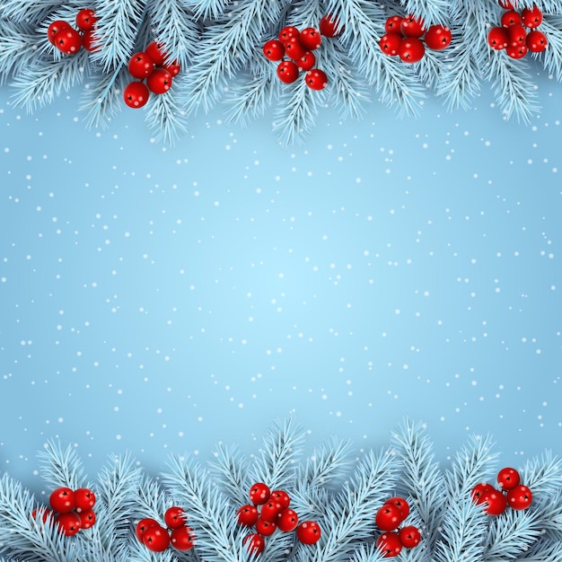 Pine branches  with holly on blue background