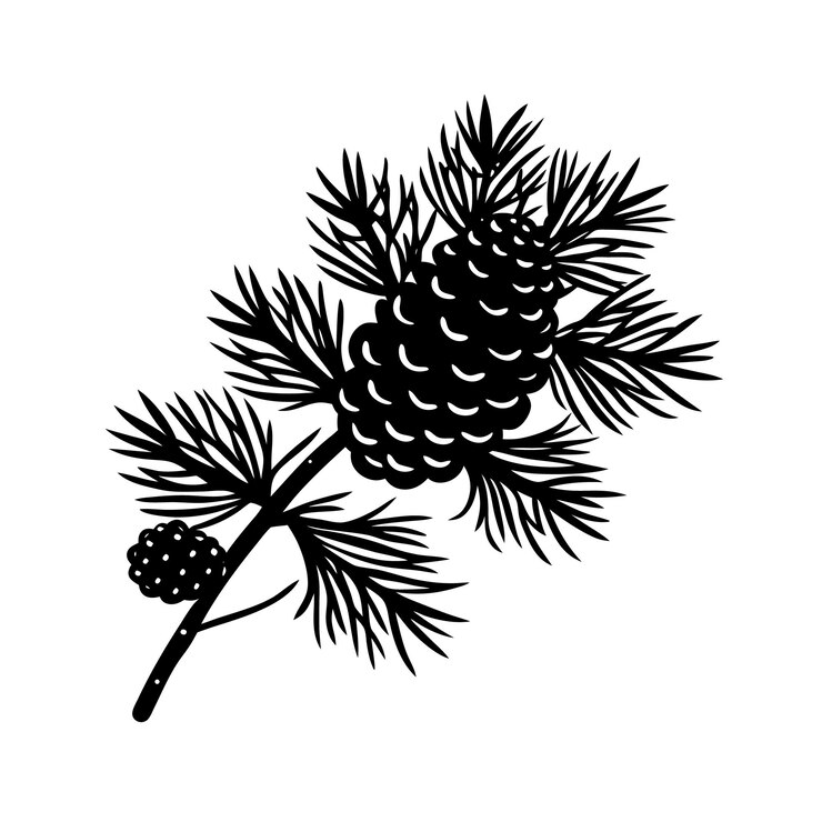 Vector pine cone and branch silhouette