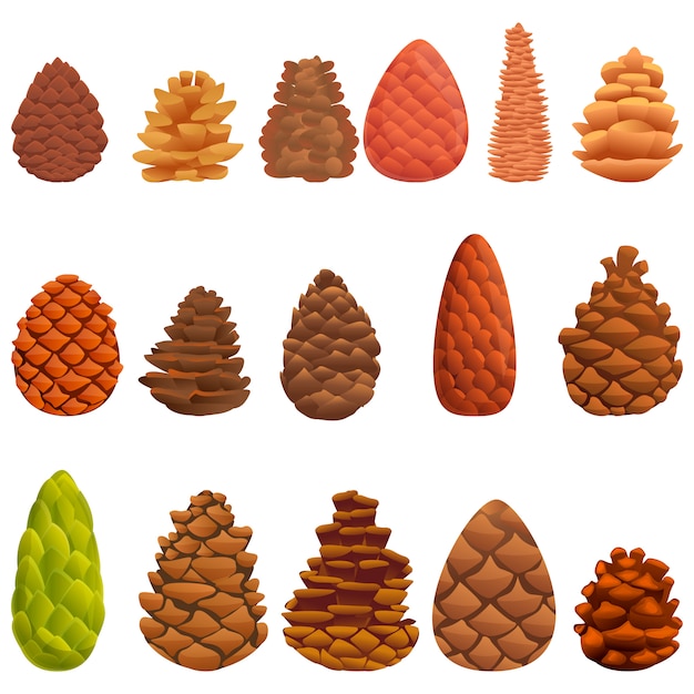 Vector pine cone icons set, cartoon style