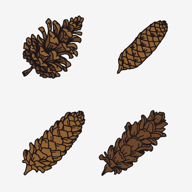 Vector pine cone set