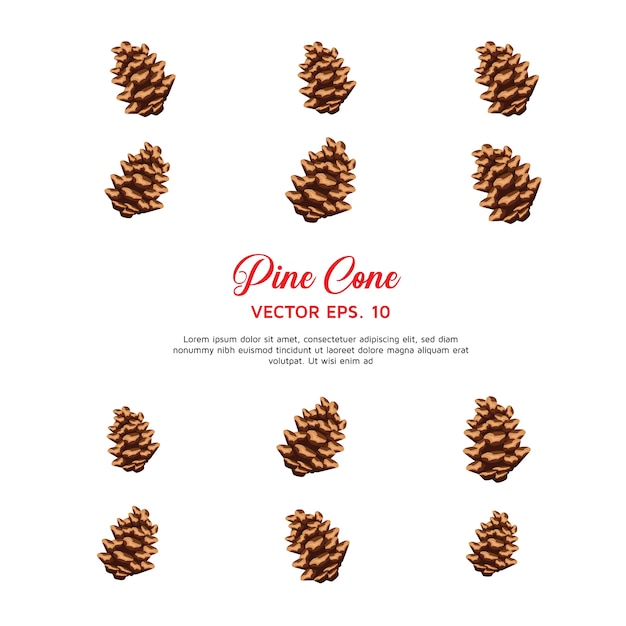 Pine cone vector