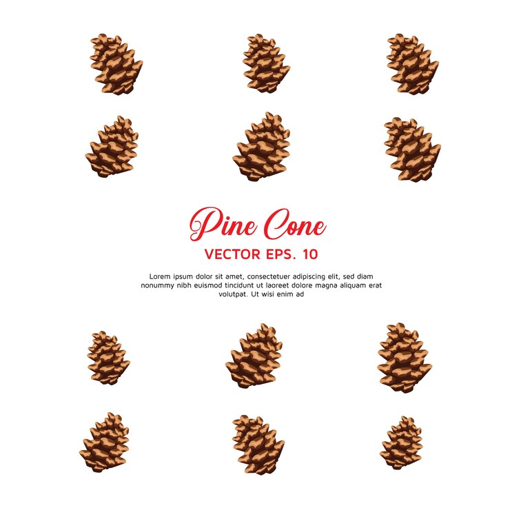 Vector pine cone vector