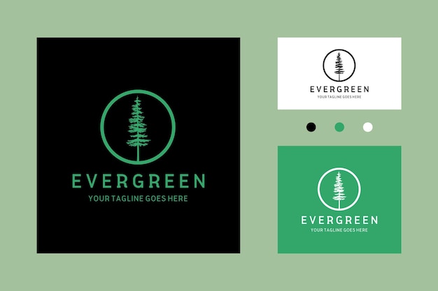 Vector pine evergreen fir hemlock spruce conifer cedar tree forest vintage retro hipster line art icon logo