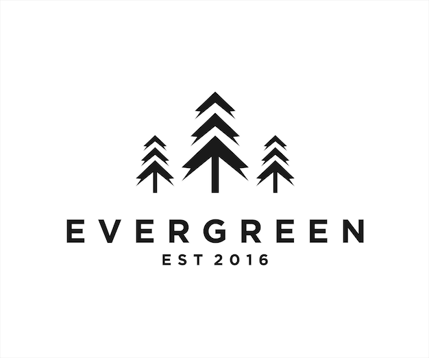 pine evergreen logo design vector illustration