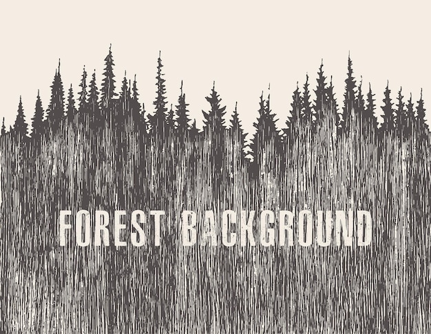 Pine forest background, vector illustration, hand drawn, sketch