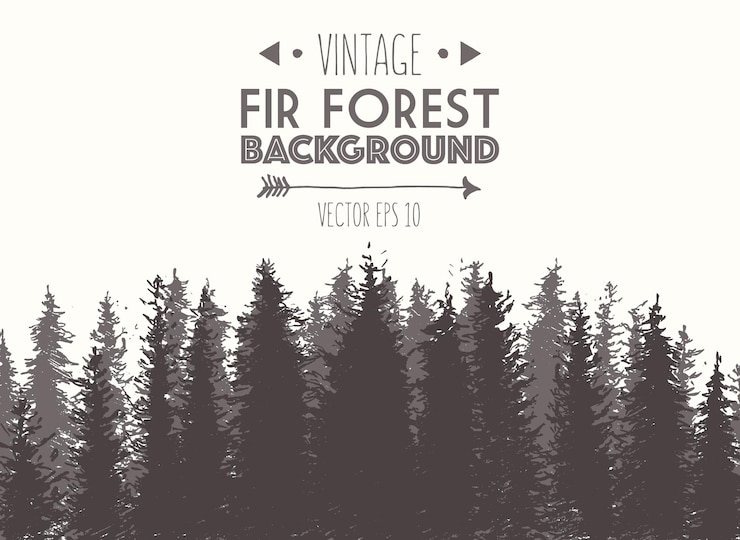 Vector pine forest design template, hand drawn vector illustration