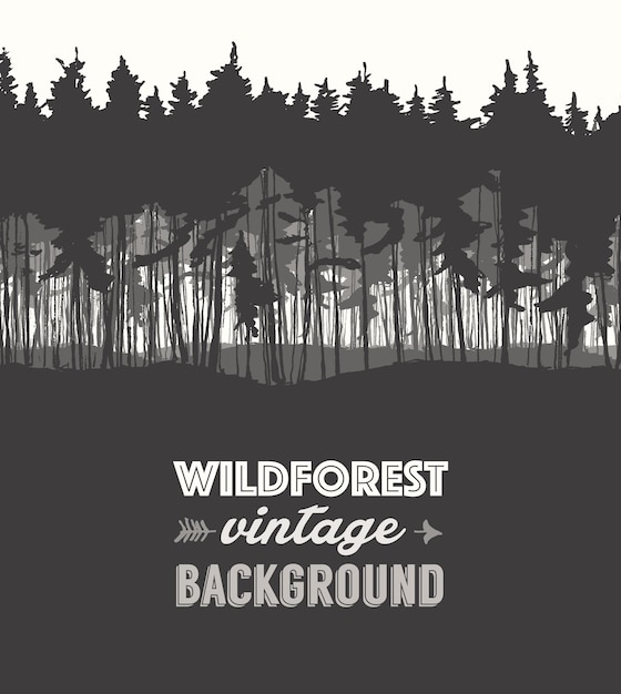 Pine forest design template, hand drawn vector illustration