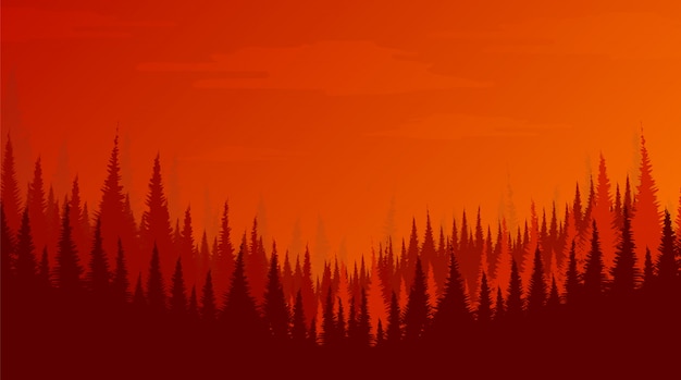 Vector pine forest, landscape background, sunshine and sunrise concept