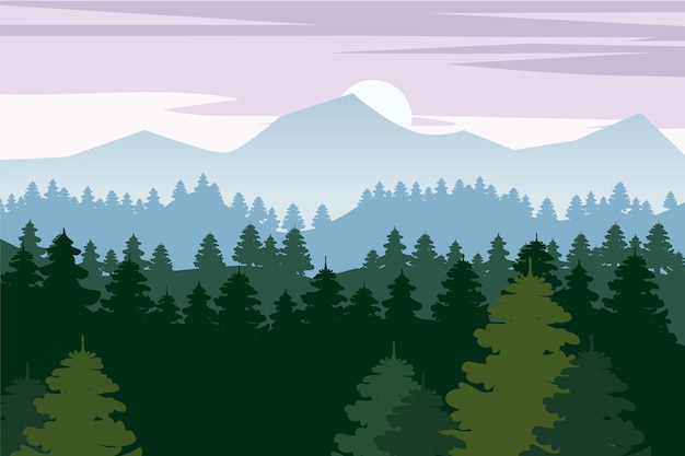 Pine forest and mountains backgrounds. Panorama landscape spruce silhouette