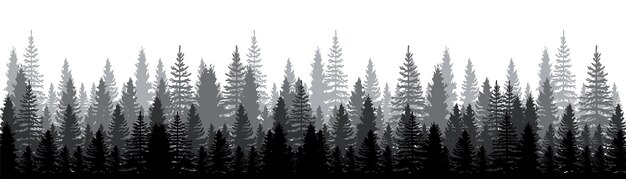 ベクトル 松の森のシルエット 松の木のシルエット 針葉の木のシルエット 松の木のパノラマビュー 高い松の木