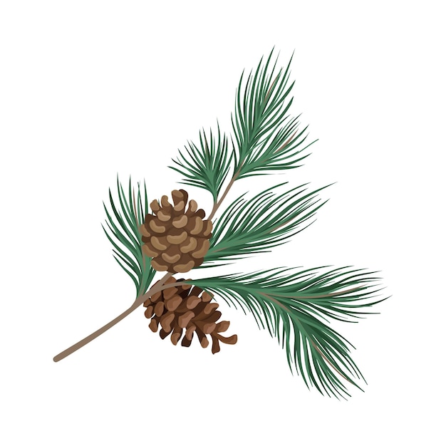 Pine groene tak met zeldzame naalden en twee bruine kegels Vector illustratie