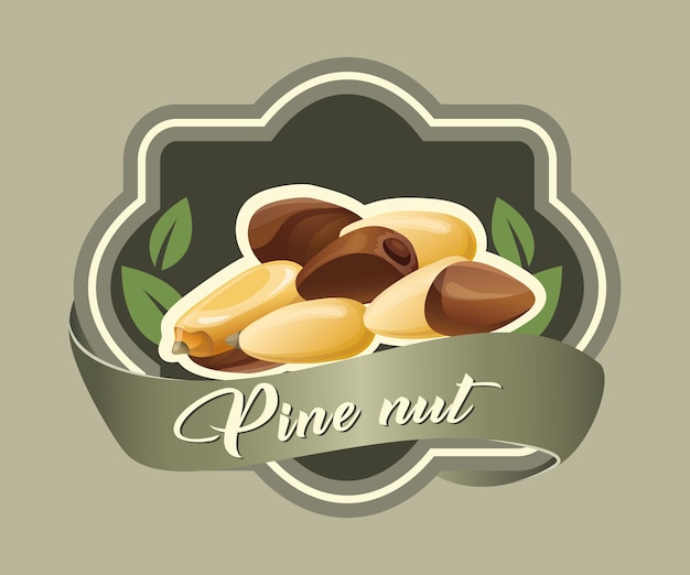 Vector pine nut vector sticker