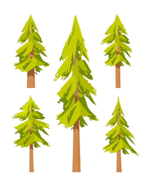 Pine spruce forest. set of fir trees nature illustration.