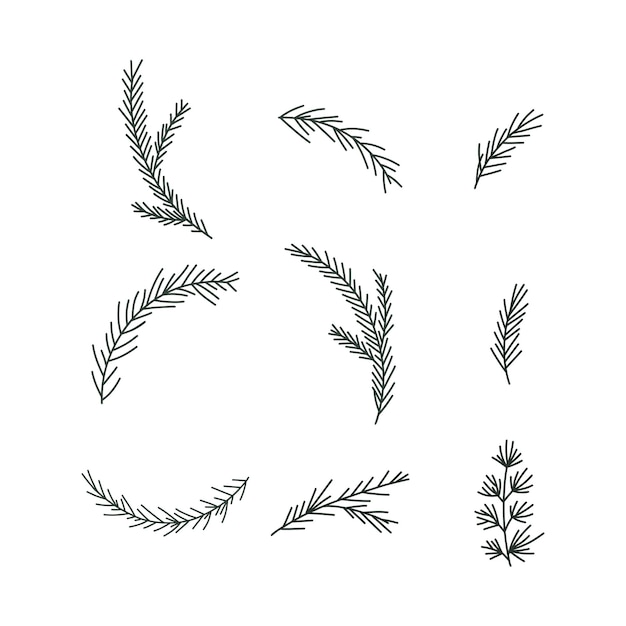 Vector pine tree branches set