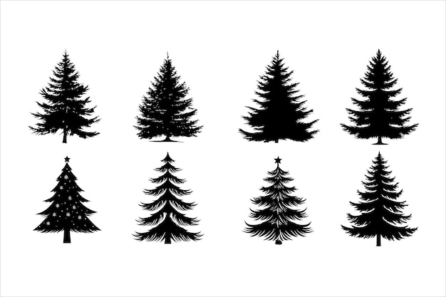 Pine tree Christmas tree Mountain tree Tree silhouette Evergreen Nature Forest Landscape Wi