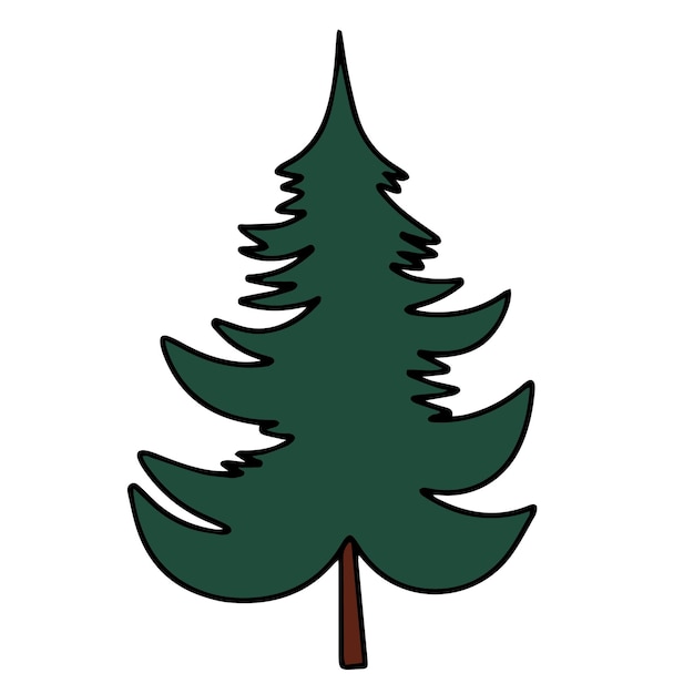 Vector pine tree colored outline hand drawn fir tree in doodle style vector illustration