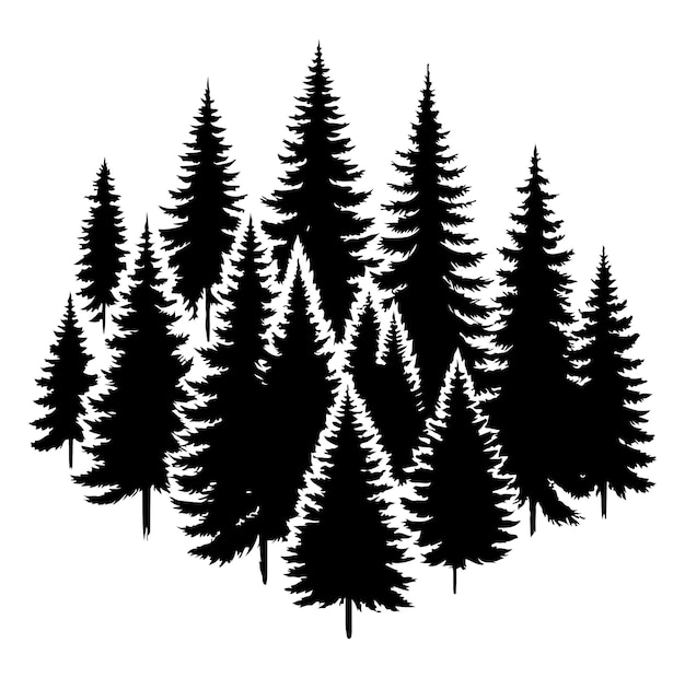 pine tree forest fir trees silhouette