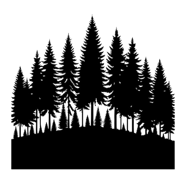 pine tree forest fir trees silhouette