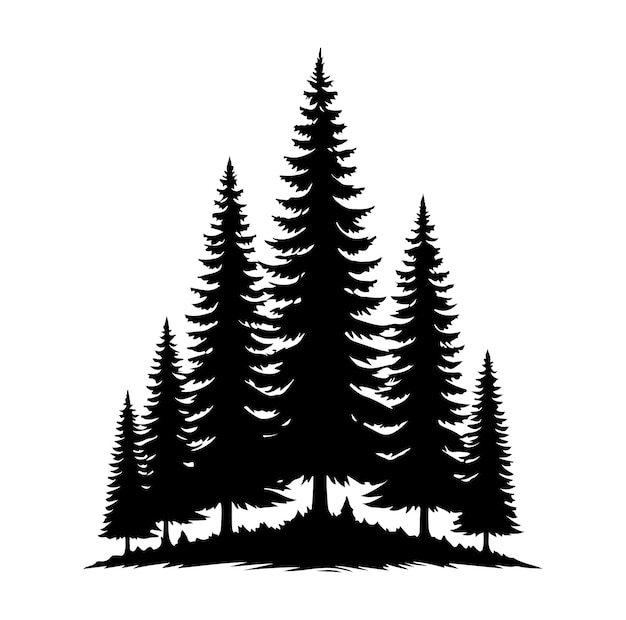 pine tree forest fir trees silhouette