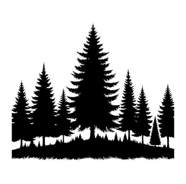 pine tree forest fir trees silhouette