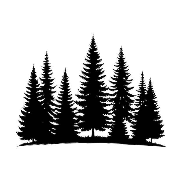 pine tree forest fir trees silhouette