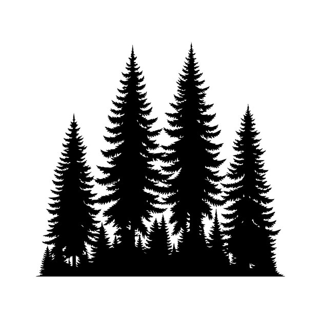 pine tree forest fir trees silhouette