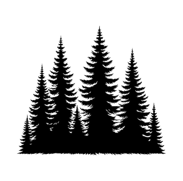 pine tree forest fir trees silhouette