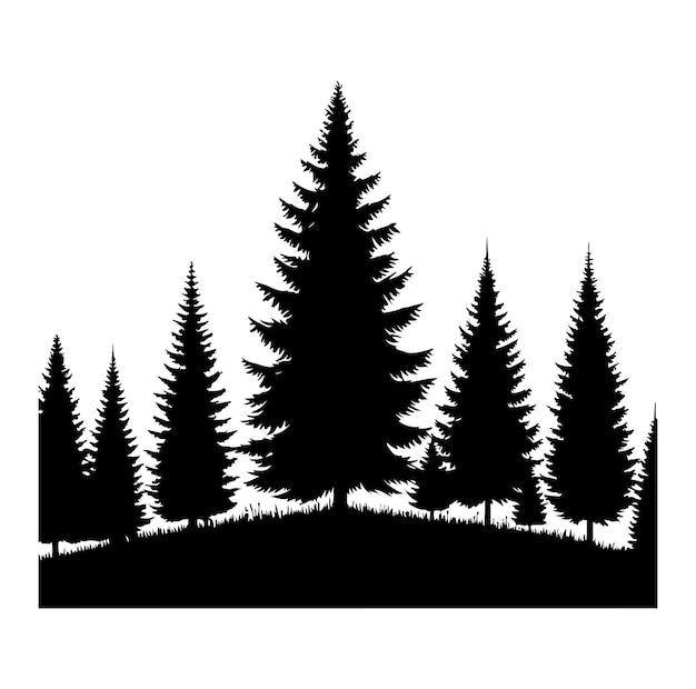 pine tree forest fir trees silhouette