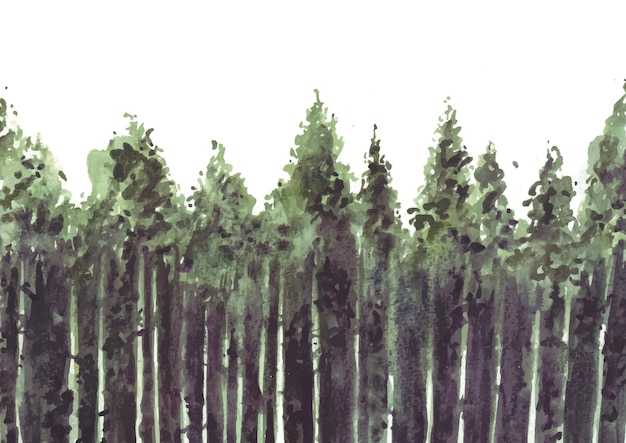 Vector pine tree forest watercolor