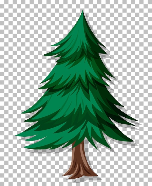 A pine tree on grid background