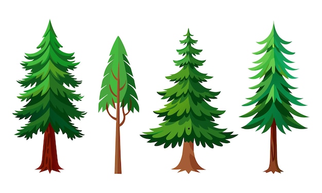 Vector pine tree isolated flat vector illustration on white background