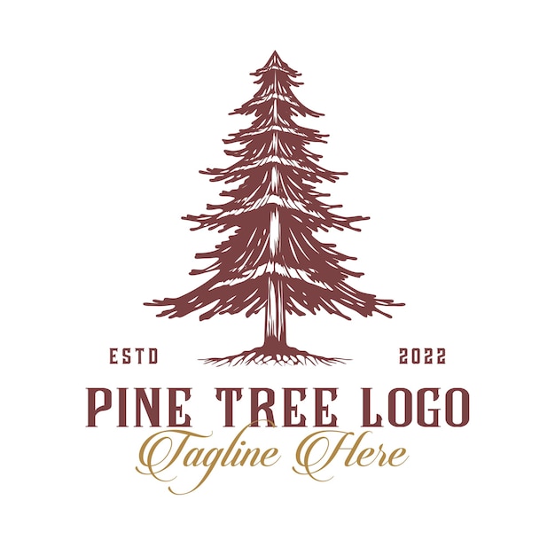 Vector pine tree logo design pine tree in hand drawn in vintage style for company with tree icon