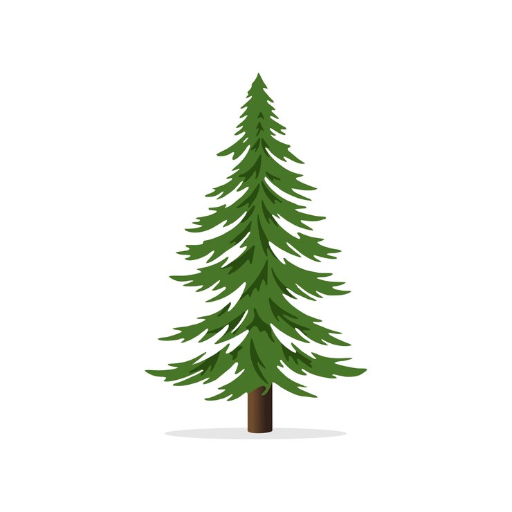 Vector pine tree pine forest vector illustration