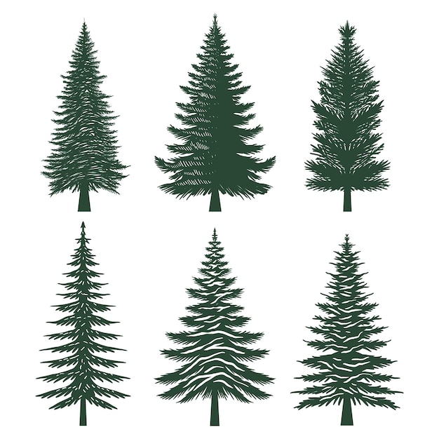 Vector pine tree silhouette set collection